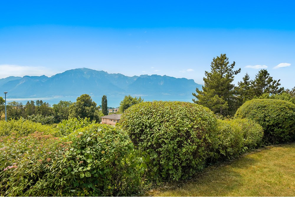 Résidentiel - Maison - Blonay, Waadt - CH - Blonay_Ext_Web-14.jpg - 119791001-316