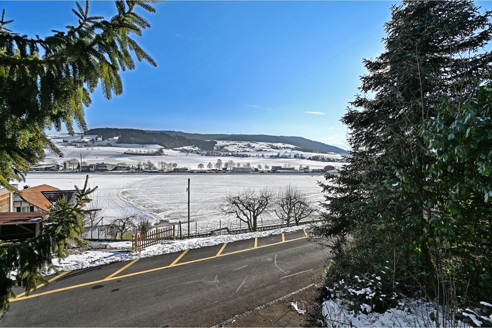 Einfamilienhaus - Kauf - Konolfingen, Bern - DSC_1829-4-4.jpg - 119241020-231