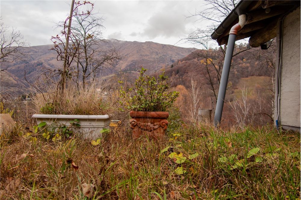 Landhaus - Kauf - Cimadera, Tessin - 20 - 119881007-1