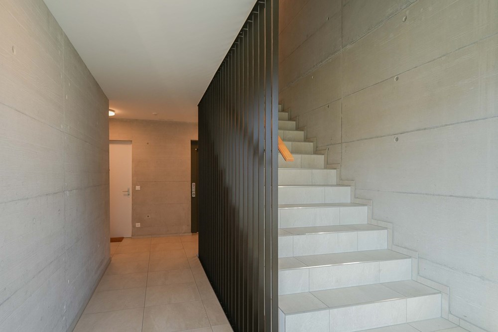 Wohnung - Vermietung - Kaisten, Aargau - kaisten-bruel-wohnung-aussen-zumieten-remaxfrick (2 von 26).jpg - 110091005-1539