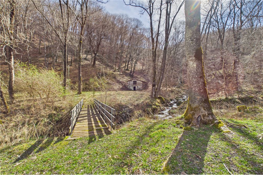 Einfamilienhaus - Kauf - Certara, Tessin - 1 - 119001076-169