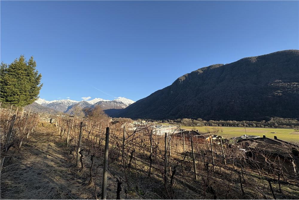 Wohnung - Kauf - Lumino, Tessin - 8 - 119001001-2849