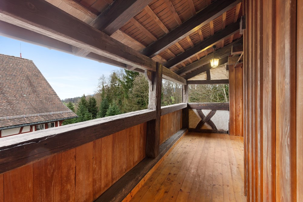 Mehrfamilienhaus - Kauf - Berg SG, St. Gallen - HausBergSG40.jpg - 119191018-220