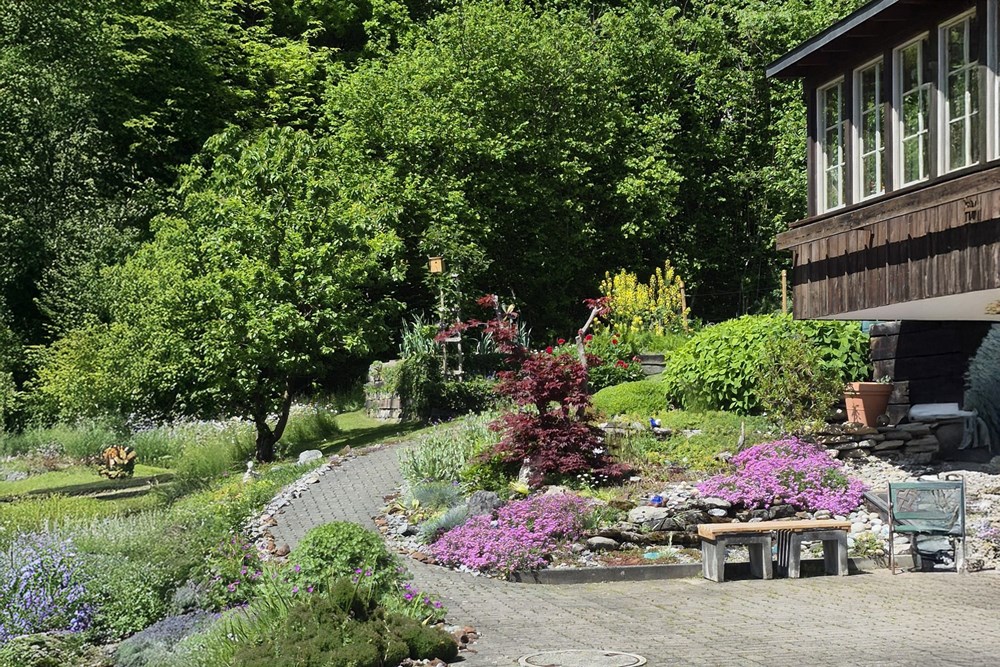 Einfamilienhaus - Kauf - Hofstetten bei Brienz, Bern - WhatsApp Image 2026-02-05 at 16.08.59 (2).jpg - 111211001-118