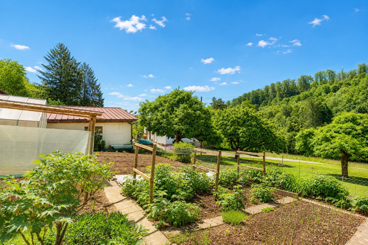 Einfamilienhaus - Kauf - Zurzach, Aargau - 17_21_29.jpg - 119841017-3