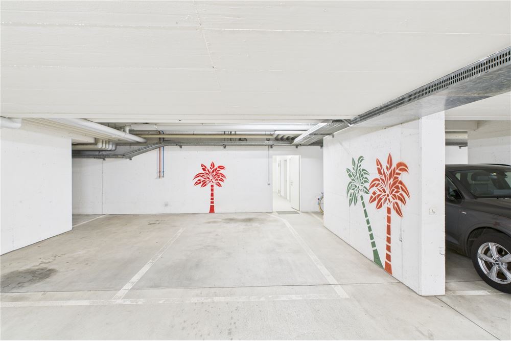 Wohnung - Wohnung - Caslano, Tessin - CH - 60 - 119001050-303