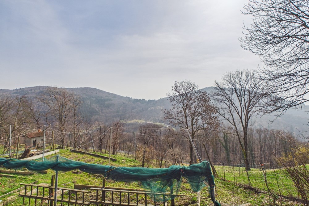 Einfamilienhaus - Kauf - Breno, Tessin - CAM02676G0-PR0072-STILL028.jpg - 119001099-100