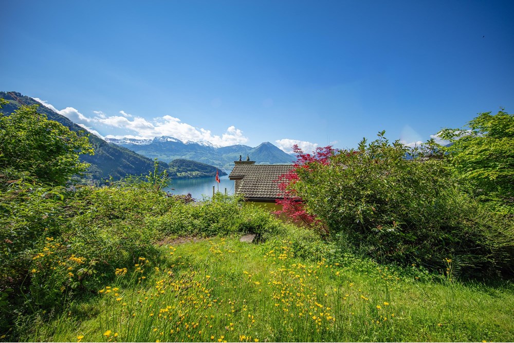 Villa - Kauf - Vitznau, Luzern - 253A6655.jpg - 119871001-102