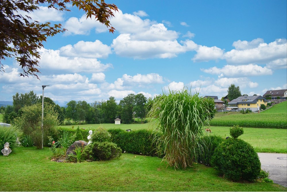 Einfamilienhaus - Kauf - Buttisholz, Luzern - Vorgarten.jpg - 111181001-19