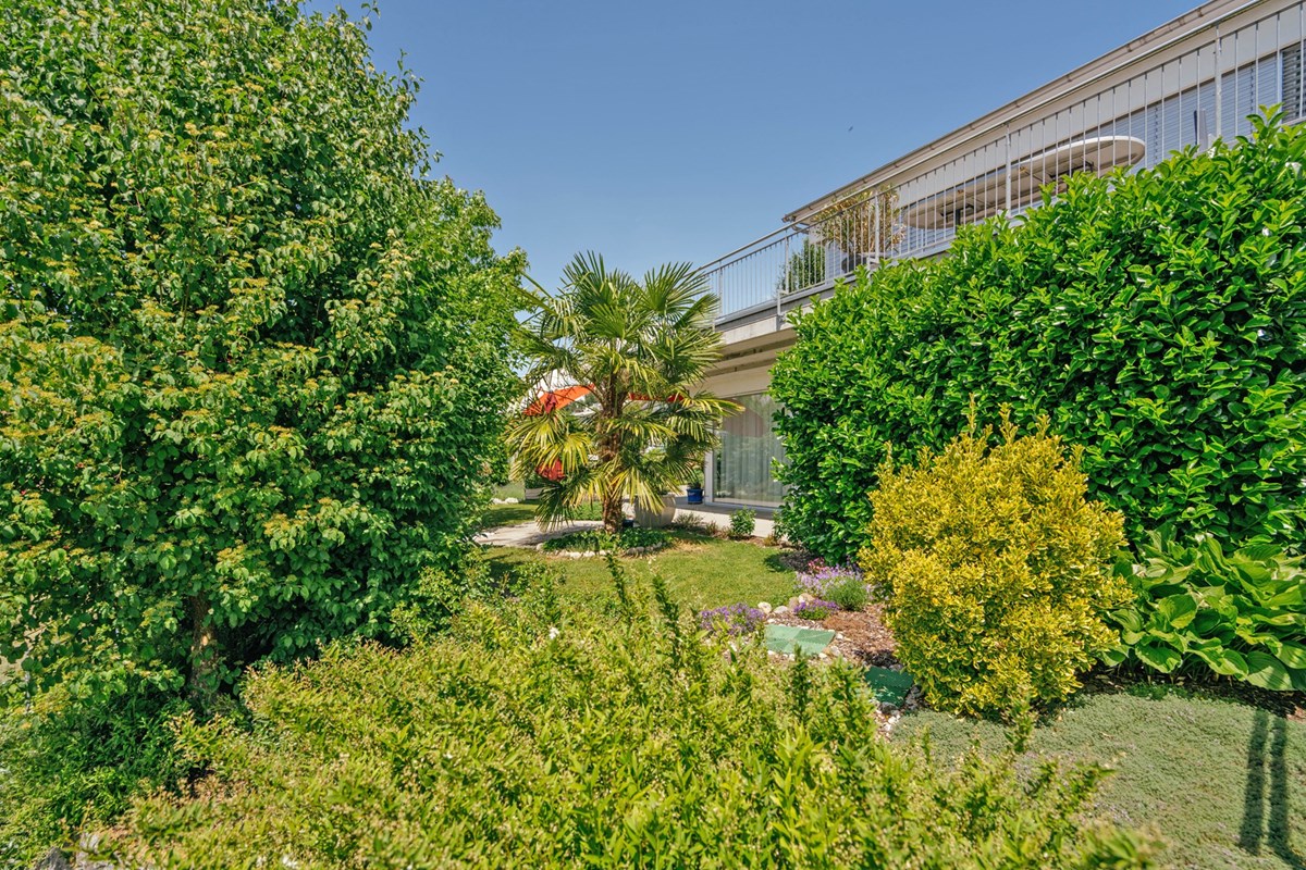 Gartenwohnung - Kauf - Oberlunkhofen, Aargau - REBEN11-15.jpg - 118921009-385
