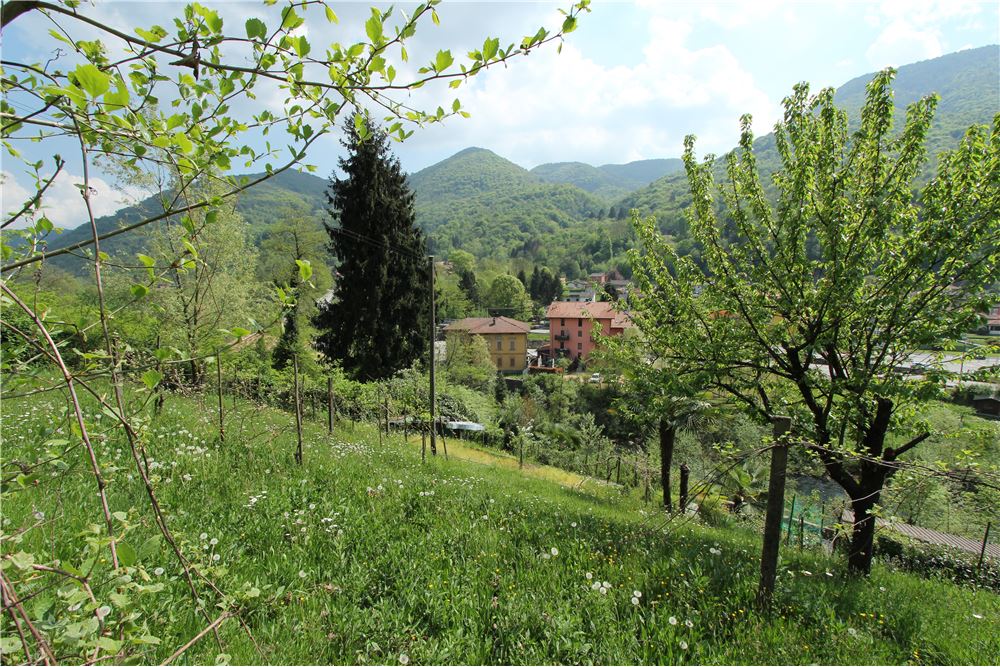 Residencial - Terreno Edificable - Ponte Cremenaga, Tessin - CH - 36 - 119001001-2879