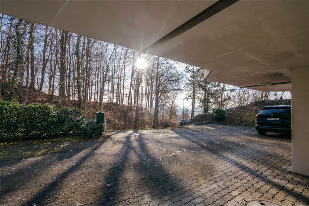 Einfamilienhaus - Kauf - Widen, Aargau - 10 - 118921025-90