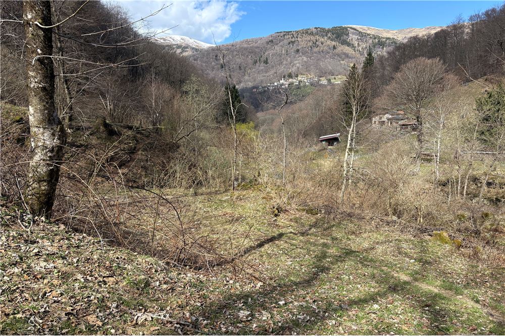 Einfamilienhaus - Kauf - Certara, Tessin - 32 - 119001076-169