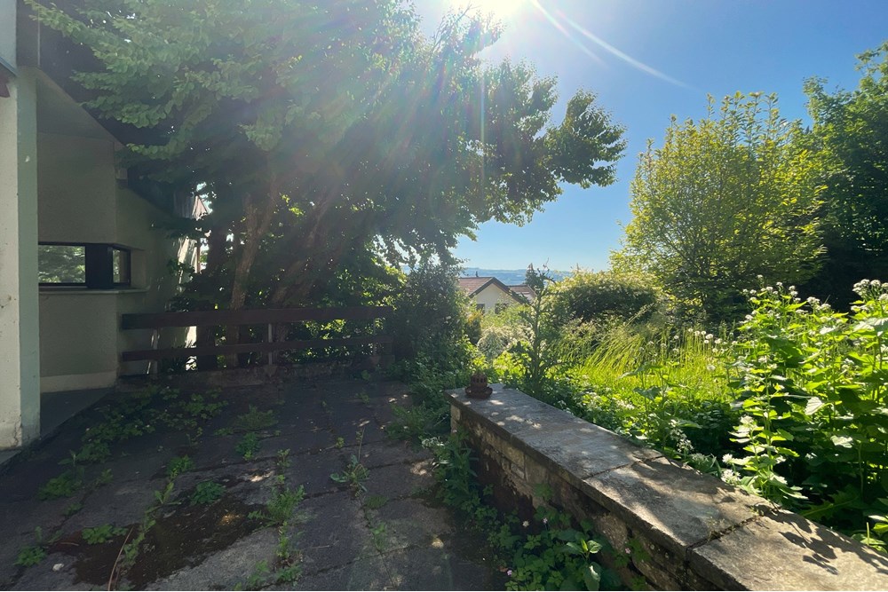 Terrassenhaus - Kauf - Beinwil am See, Aargau - IMG_5936.JPG - 110050029-179