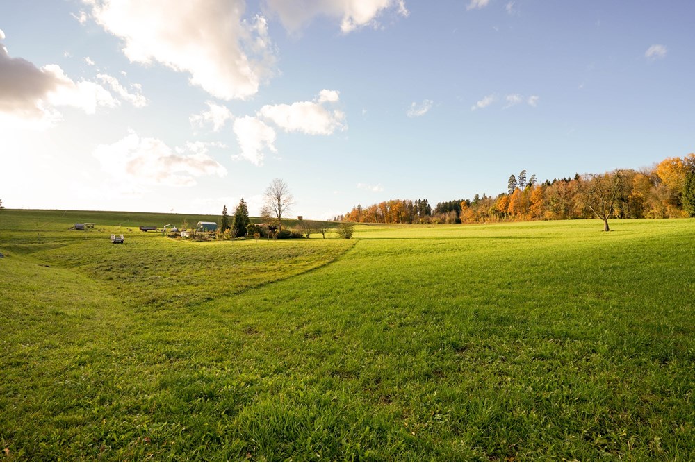 Maisonette - Kauf - Lindau, Zürich - DSC02024.jpg - 119631005-53