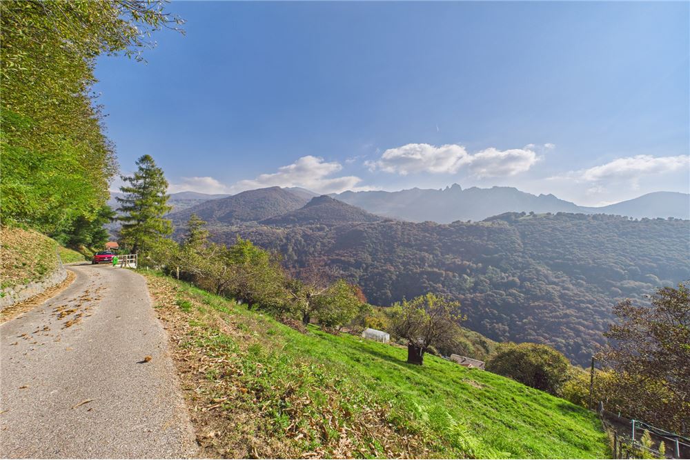 Prédio Habitacional - Lote de terra para construção - Bidogno, Tessin - CH - 3 - 119001086-44