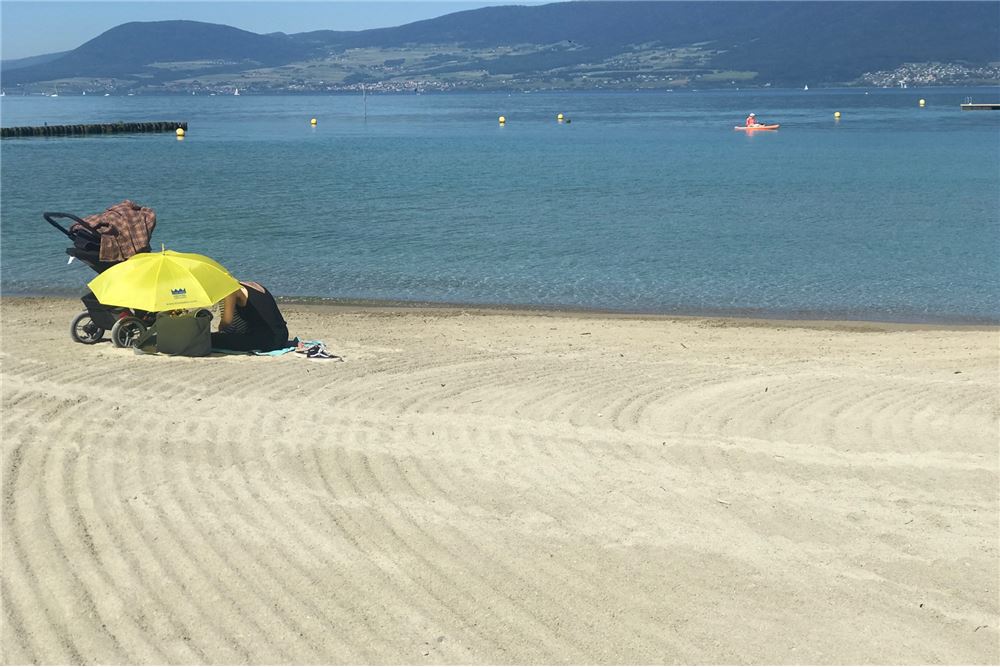 Bauland - Kauf - Gletterens, Freiburg - 7 - 119451002-466