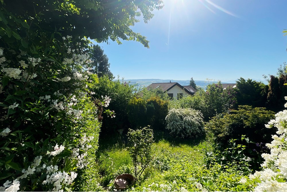 Terrassenhaus - Kauf - Beinwil am See, Aargau - IMG_5937.JPG - 110050029-179