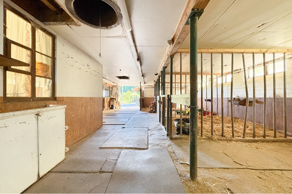 Bauernhof - Kauf - Belp, Bern - Oberaar-26.jpg - 119241015-253