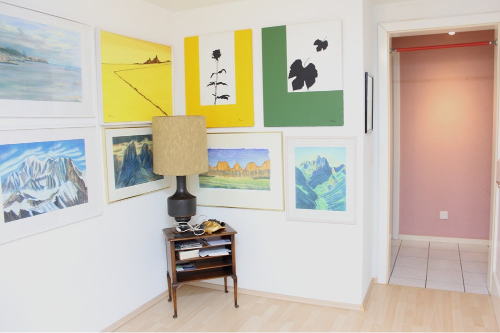 Wohnung - Kauf - Liestal, Basel-Landschaft - IMG_0445.JPG - 110031007-346