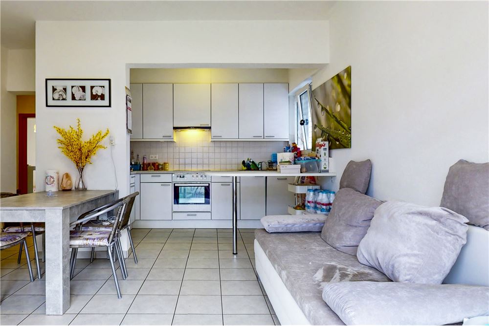 Wohnung - Kauf - Bellinzona, Tessin - 3 - 119291021-121