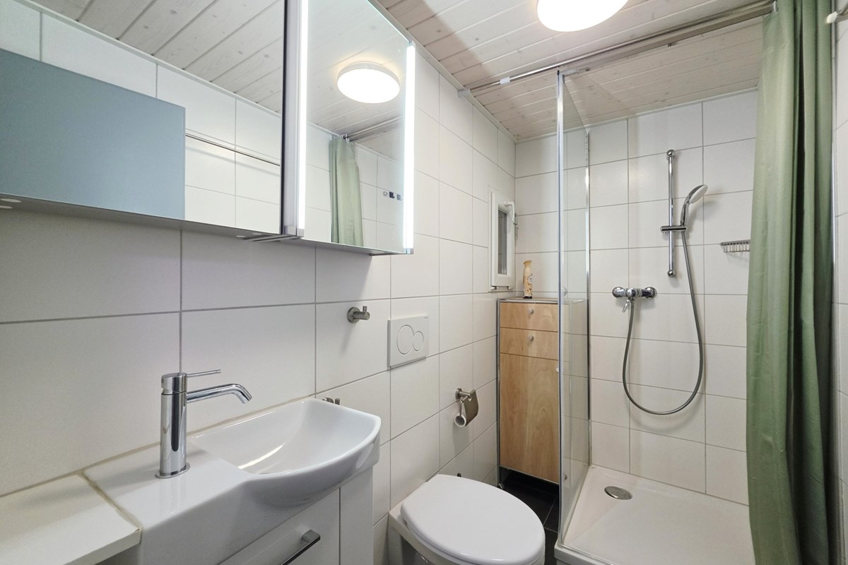 Wohnung - Kauf - Leuk, Wallis - 3.5 Zi-Wohnung in Leuk-Stadt_DU-WC.jpg - Dusche - 119101007-741