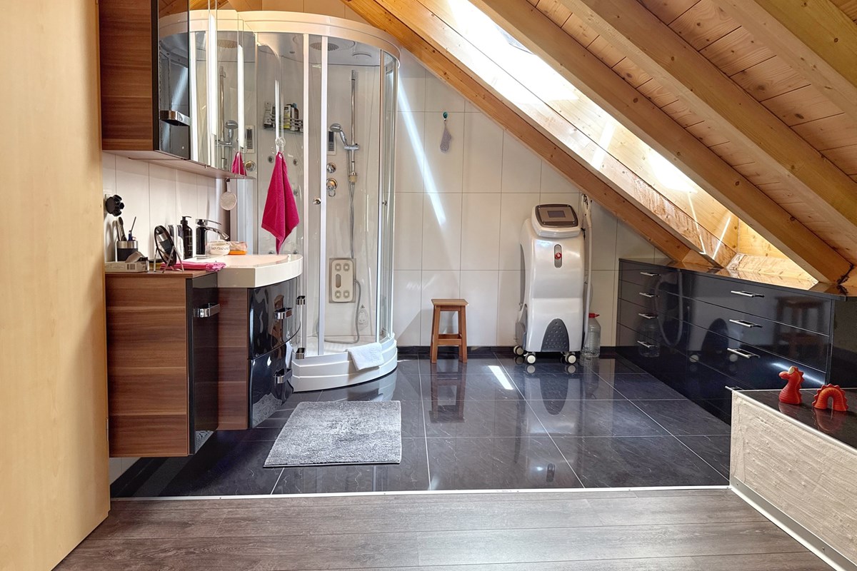 Bauernhaus - Kauf - Schwarzenegg, Bern - Dachwgh (4).jpeg - 119471022-67