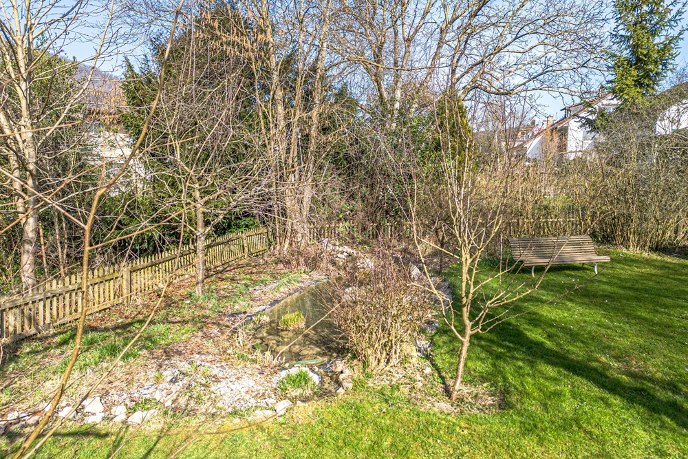 Einfamilienhaus - Kauf - Erlinsbach, Aargau - TEICH_~1.JPG - 115360019-164