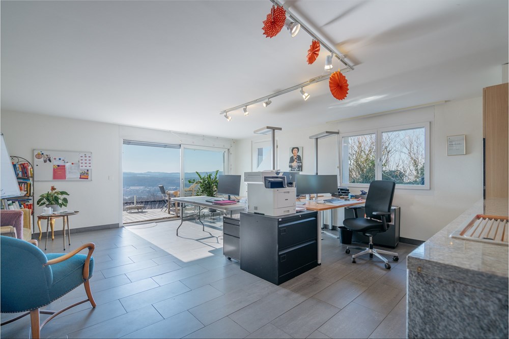 Einfamilienhaus - Kauf - Widen, Aargau - DSC05727.jpg - 118921016-189