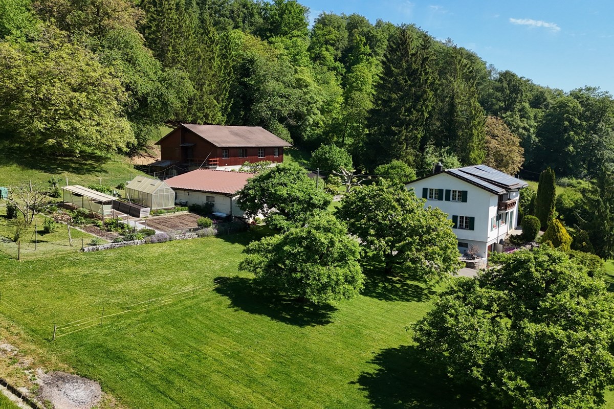 Einfamilienhaus - Kauf - Zurzach, Aargau - dji_fly_20260509_104654_0472_1778317418744_photo.JPG - 119841017-3