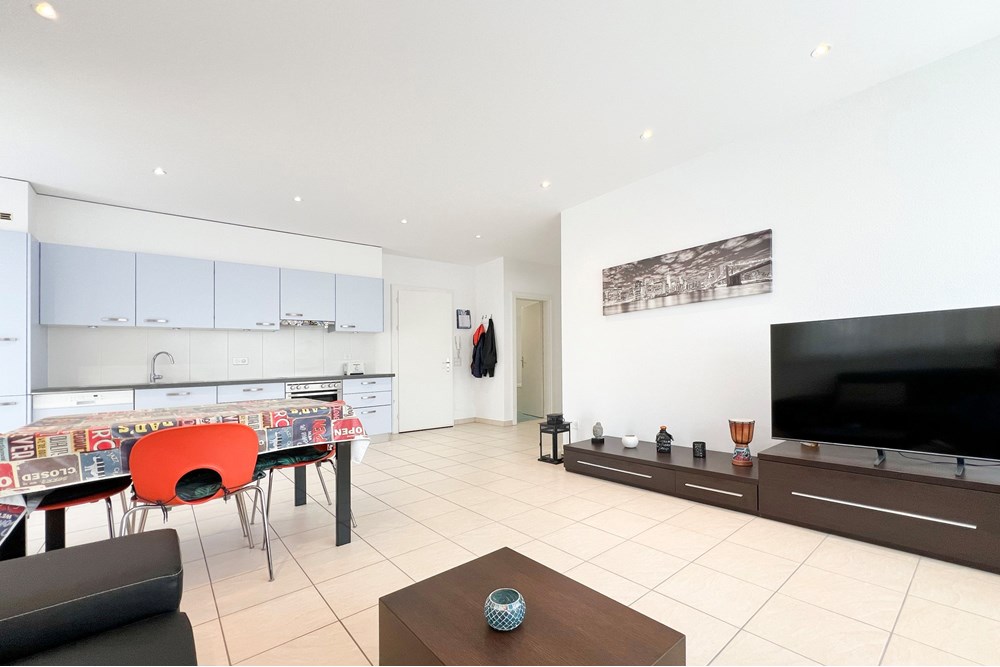 Mehrfamilienhaus - Kauf - Losone, Tessin - IMG_4083_.jpeg - 118461080-50