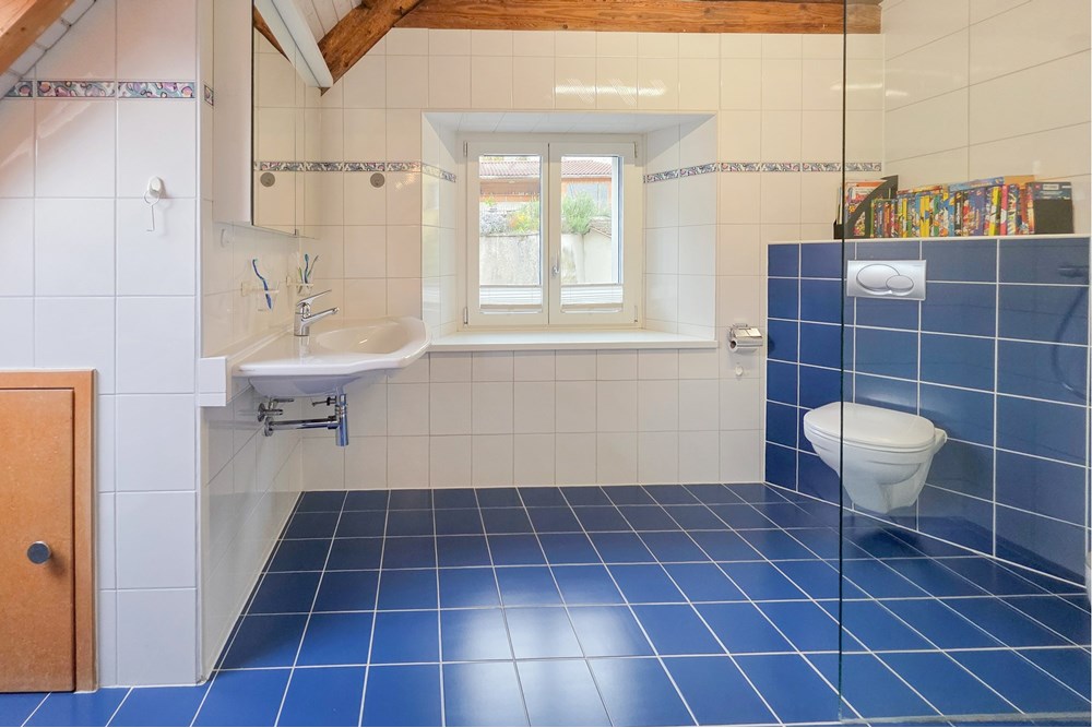 Einfamilienhaus - Kauf - Schinznach Dorf, Aargau - 20251029_154730.JPG - 119241016-289