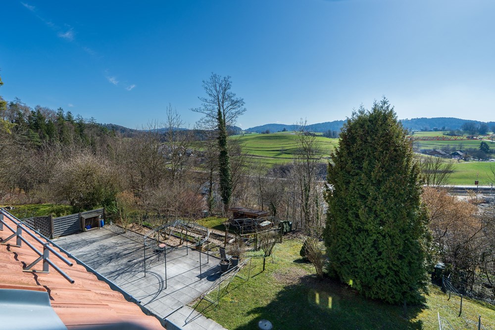 Einfamilienhaus - Kauf - Elsau, Zürich - Aussen9.jpg - 118761010-18