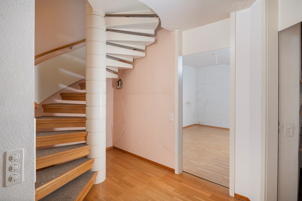 Maisonette - Kauf - Zürich, Zürich - 028 - Im Tiergarten 45, 8055 Zürich (Daniel Blake Fotografie).jpg - 111281001-47