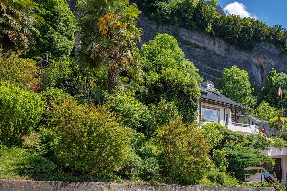 Villa - Kauf - Vitznau, Luzern - 253A6672.jpg - 119871001-102