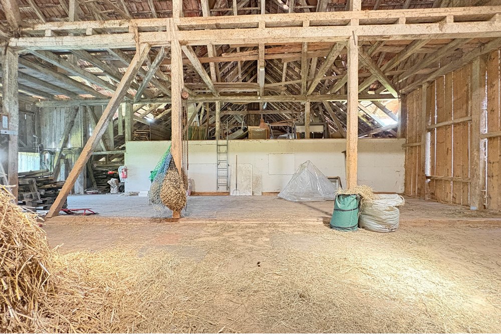 Bauernhof - Kauf - Belp, Bern - Oberaar-29.jpg - 119241015-253