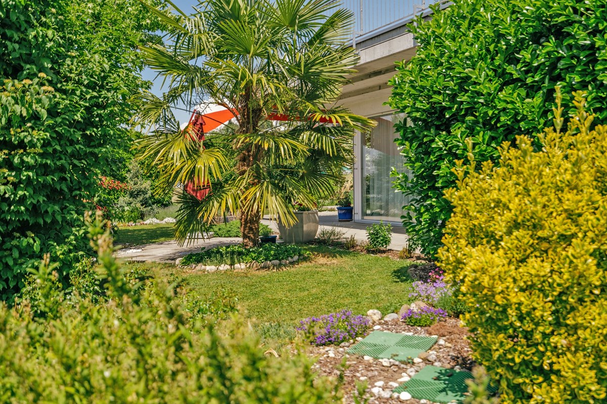 Gartenwohnung - Kauf - Oberlunkhofen, Aargau - REBEN11-2.jpg - 118921009-385