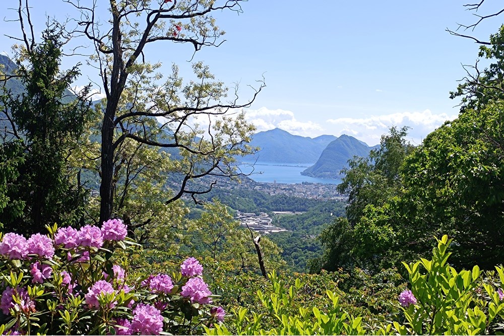 Einfamilienhaus - Kauf - Roveredo, Tessin - IMG_20250523_144919.jpg - 119001050-293