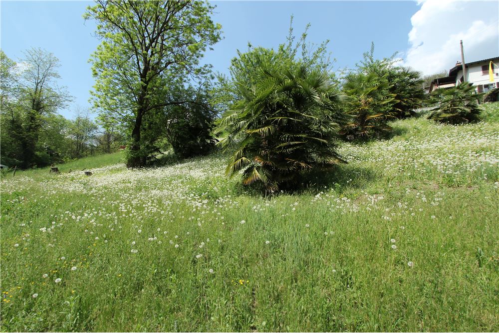 Residencial - Terreno Edificable - Ponte Cremenaga, Tessin - CH - 33 - 119001001-2879