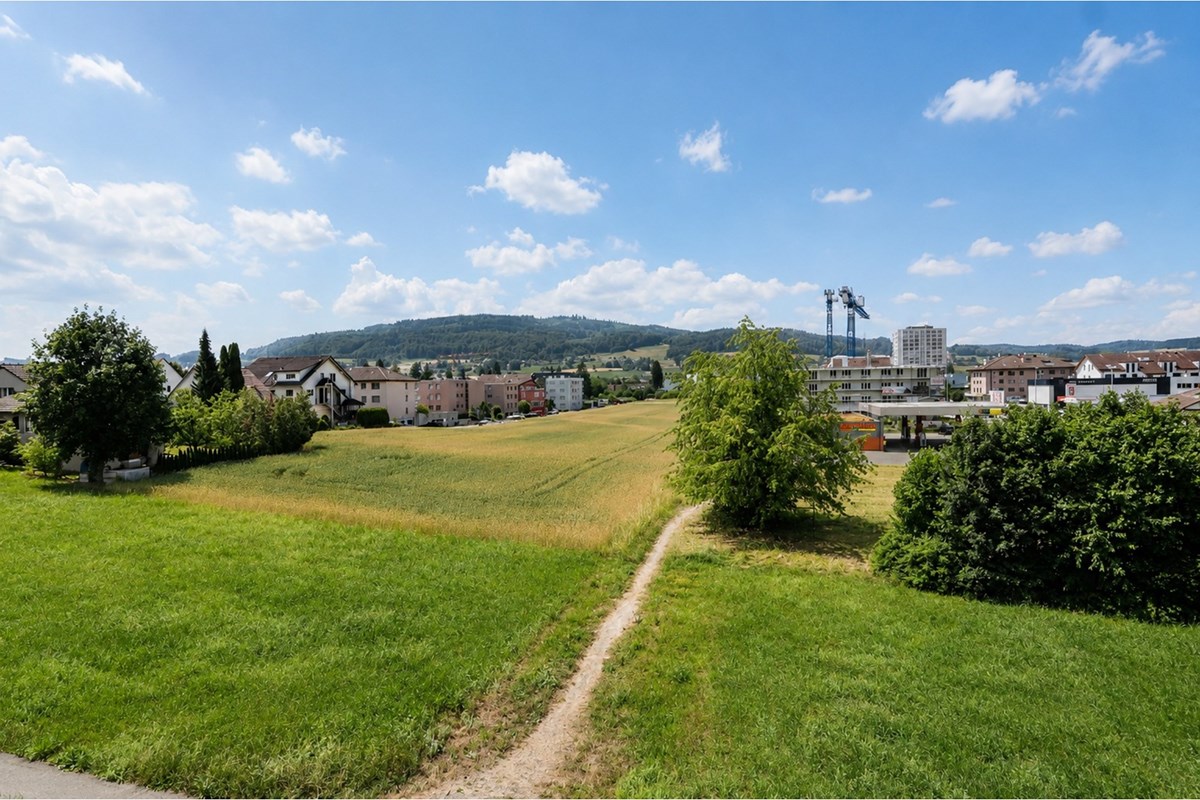 Wohnung - Kauf - Reinach AG, Aargau - Aussicht.jpg - 111301001-6