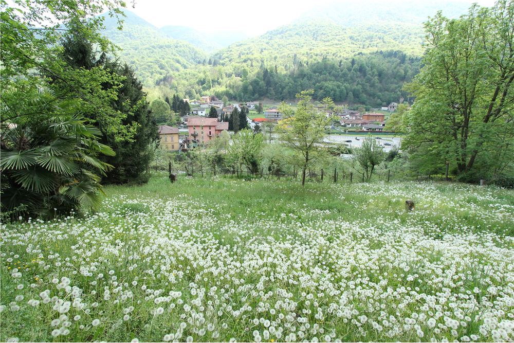 Residencial - Terreno Edificable - Ponte Cremenaga, Tessin - CH - 31 - 119001001-2879