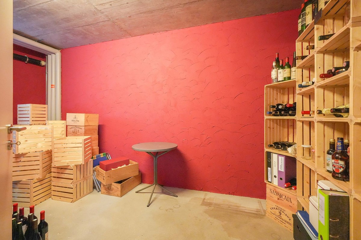 Einfamilienhaus - Kauf - Mumpf, Aargau - mumpf-rheinstrasse13-efh-zukaufen-remaxfrick (4 von 65).jpg - 110091020-159