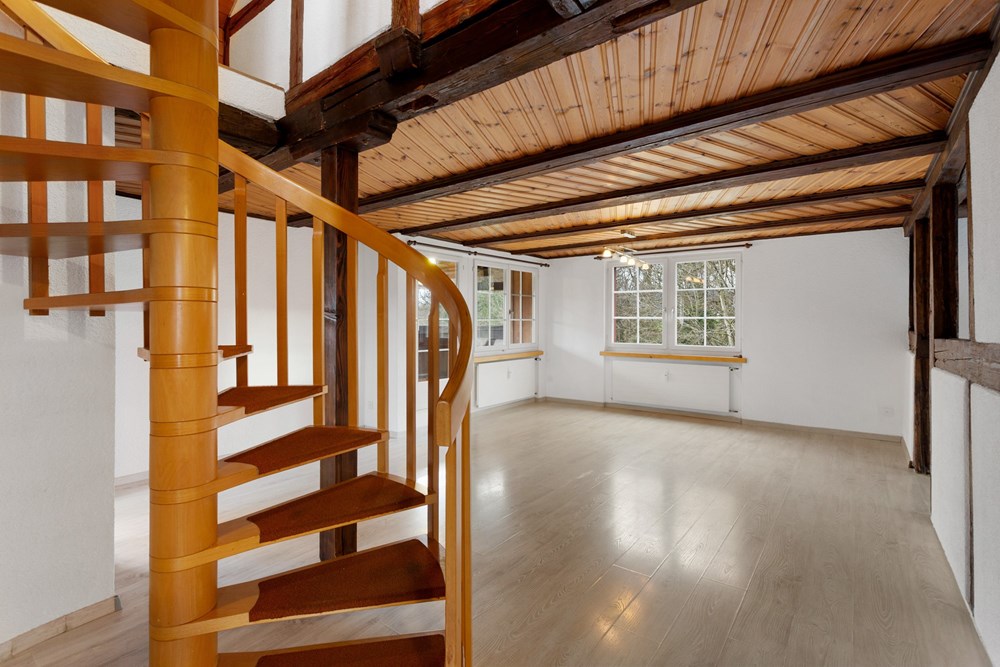 Mehrfamilienhaus - Kauf - Berg SG, St. Gallen - HausBergSG31.jpg - 119191018-220