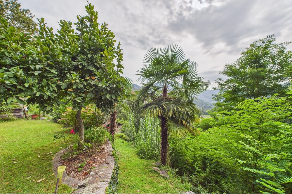 Residential - Cornerhouse - Monteggio, Tessin - CH - CAM02262G0-PR0560-STILL010.jpg - 119001001-2947