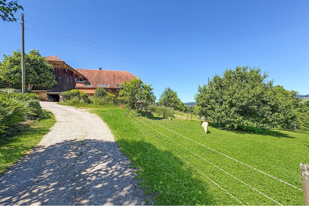 Bauernhof - Kauf - Belp, Bern - 2Oberaar-8.jpg - 119241015-253