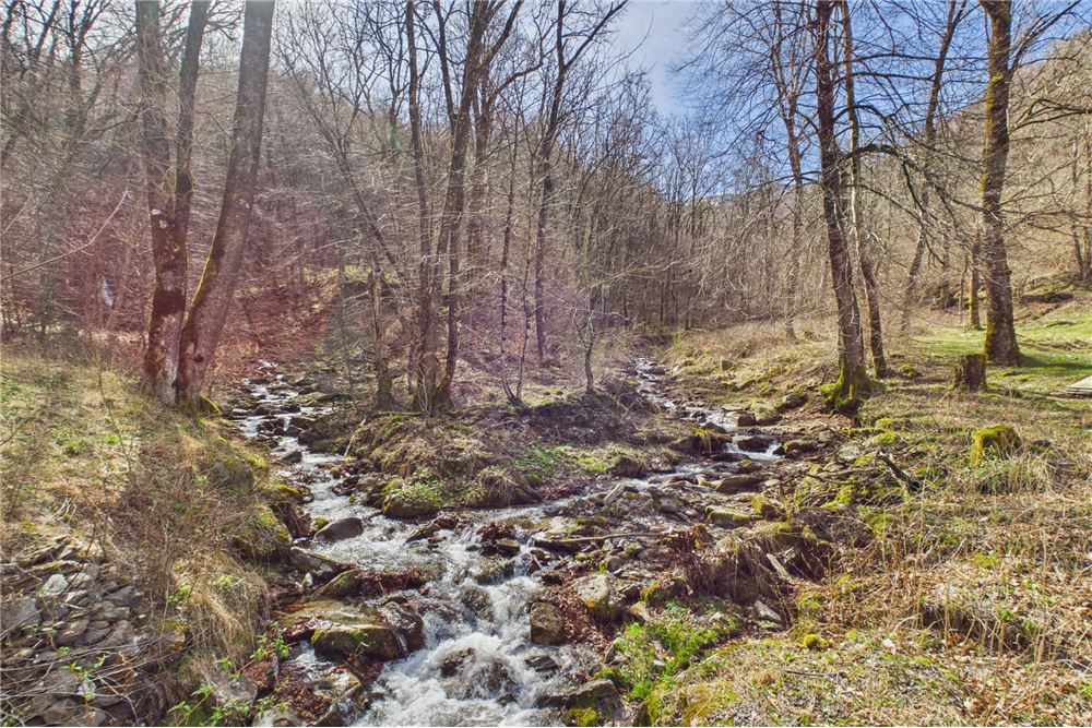 Einfamilienhaus - Kauf - Certara, Tessin - 4 - 119001076-169