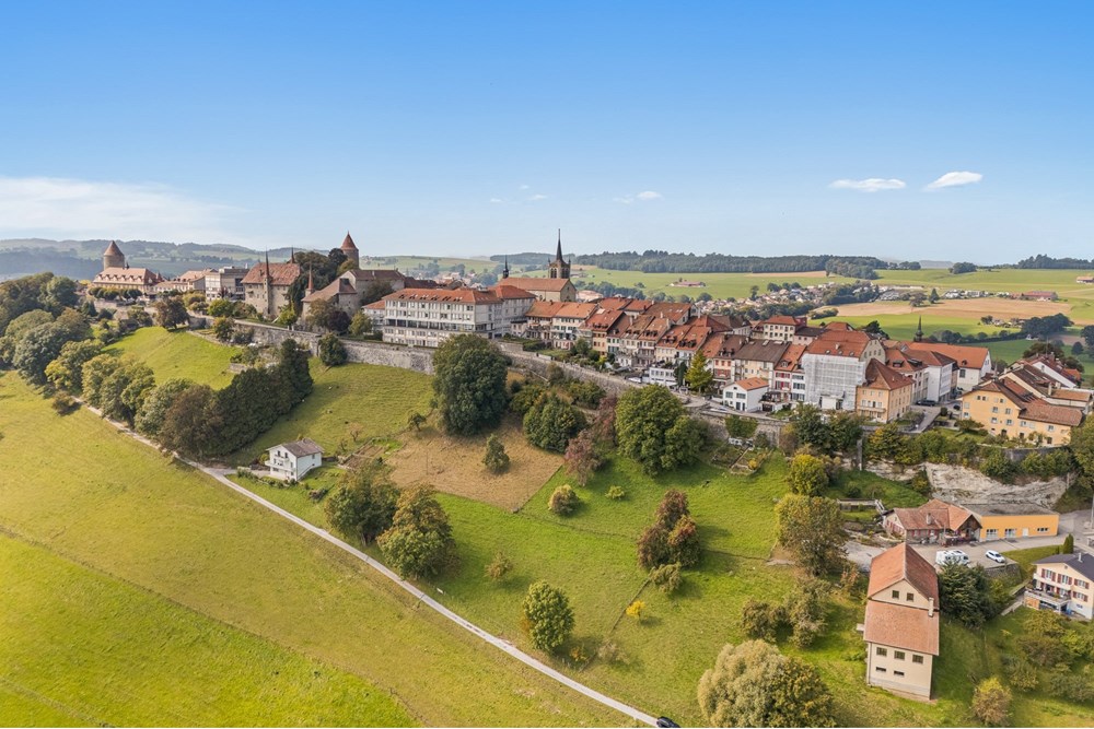 Surface commerciale - Bureau - Romont FR, Freiburg - CH - Romont_Web-01.jpg - 119791001-319