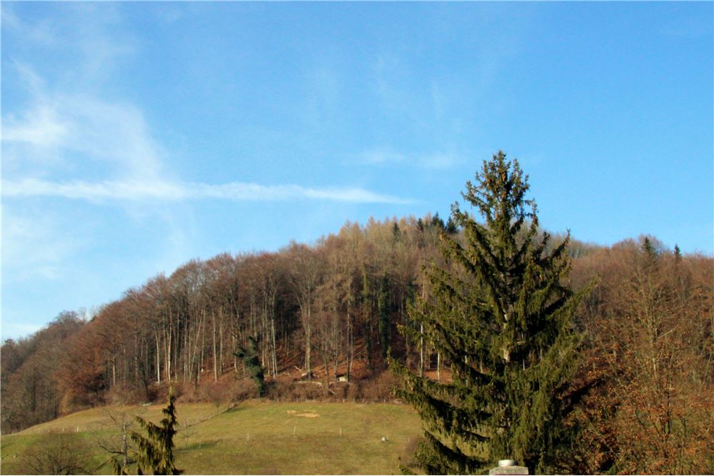 Einfamilienhaus Kauf Granichen Aargau 119761005 159