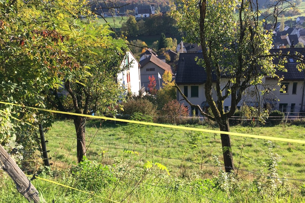 Einfamilienhaus - Kauf - Ziefen, Basel-Landschaft - ZIEFEN-17.jpg - 118921009-378