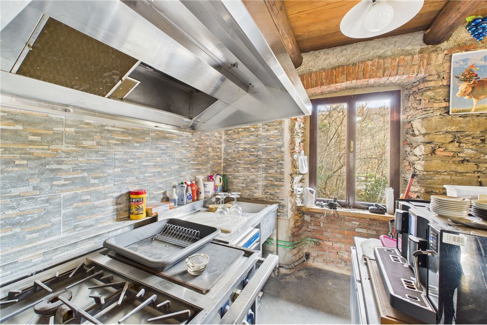 Comercial - Comercio/Tienda - Monteggio, Tessin - CH - 7 - 119001050-305